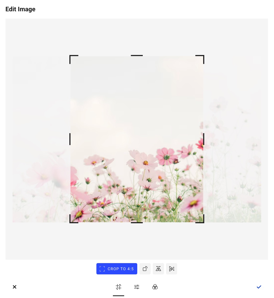 Buffer - Publish crop option - crop to 45 for Instagram image