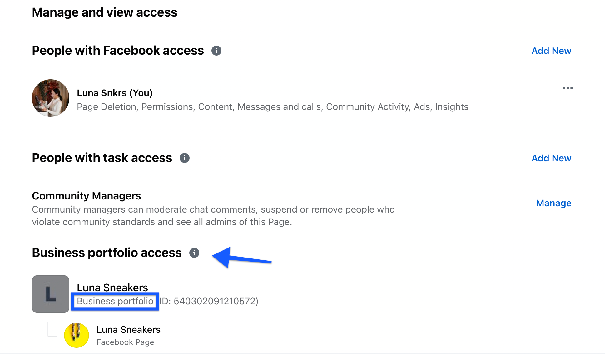 Meta Business Portfolio access