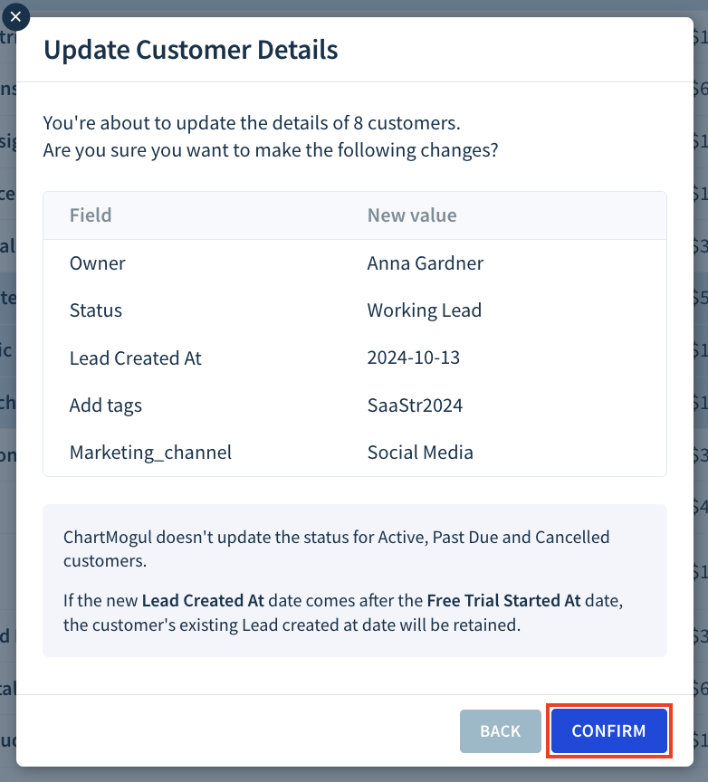Screenshot of the Update Customer Details dialog highlighting the location of the Confirm button.