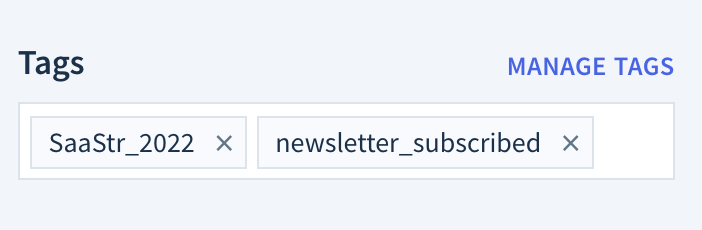 Screenshot of the Tags section with one tag, merged-customer