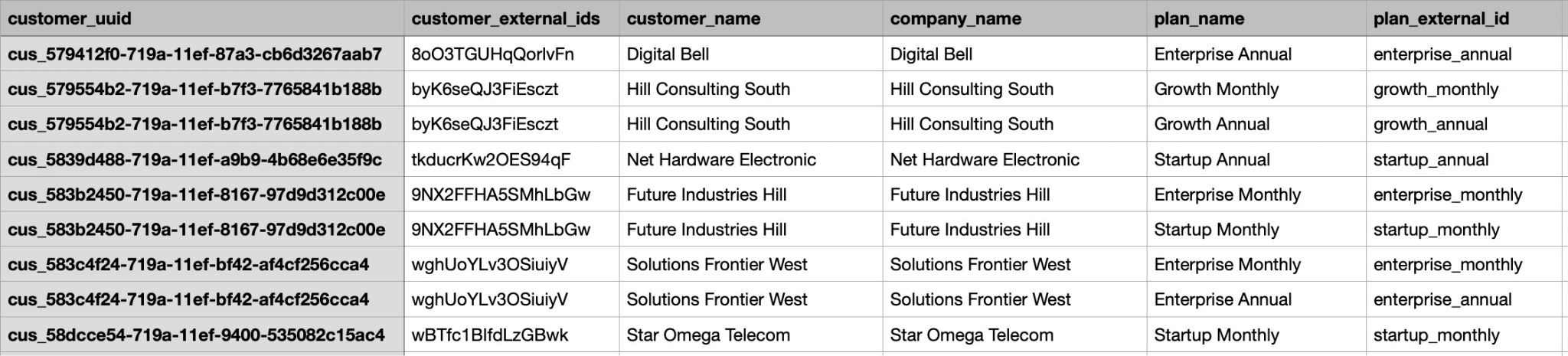 Screenshot of the exported CSV file with the following columns visible: “customer_uuid”, “customer_external_ids”, “customer_name”, “company_name”, “plan_name”, “plan_external_id”.