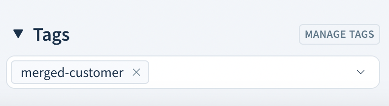 Screenshot of the Tags section with one tag, merged-customer