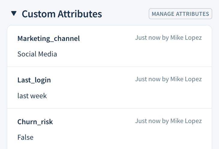 Screenshot of the Custom Attributes section