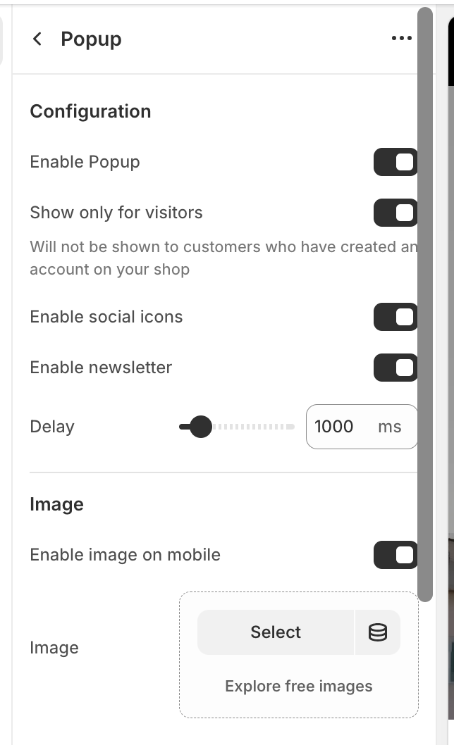 Shopify popup settings
