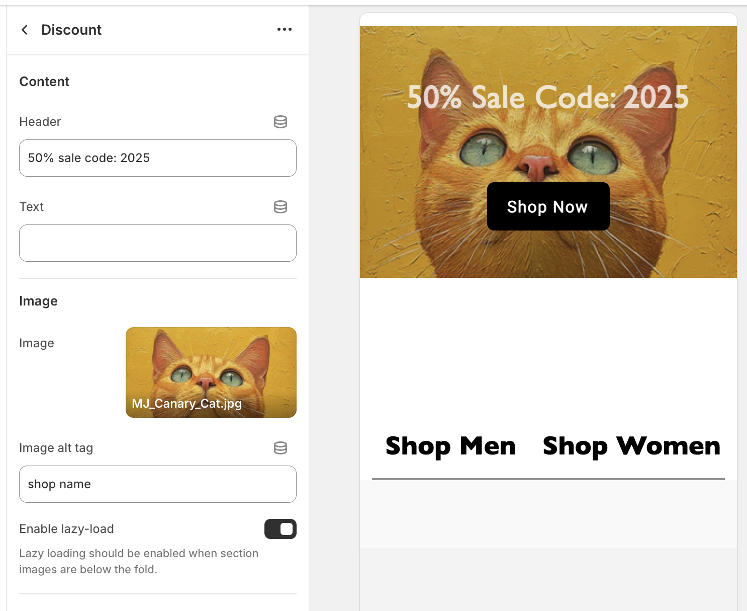 Shopify discount section