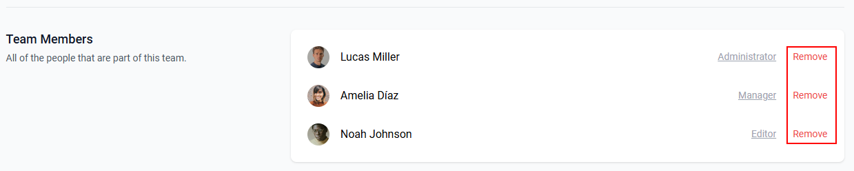 The “Team Members” section with the