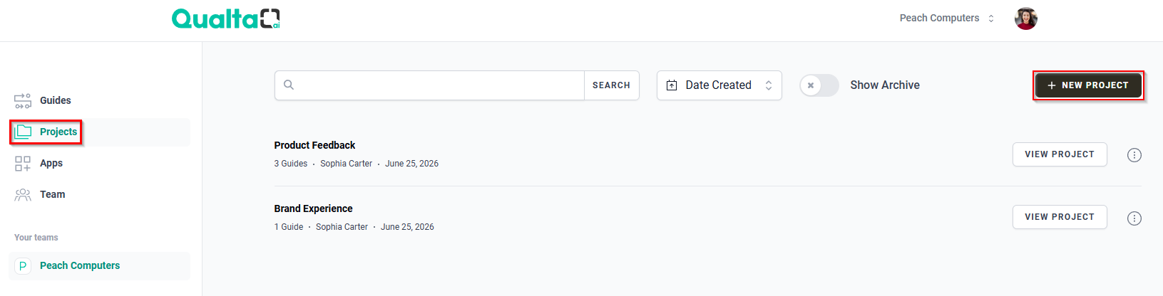 The Projects tab and the + NEW PROJECT button. 