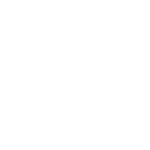 BZZR Knowledge Base