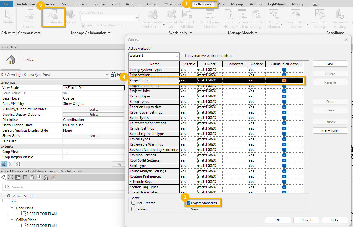 Image showing where to change project info workset settings in Autodesk Revit.