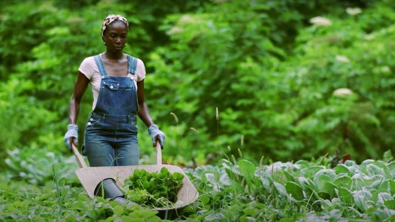 Jamila Norman pushing wheelbarrow