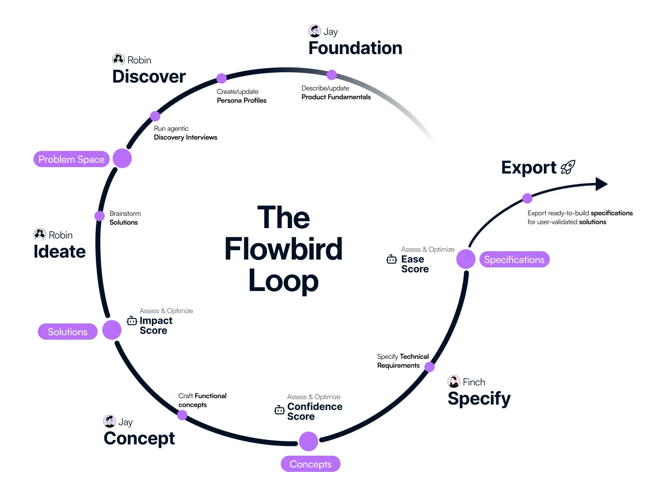 Visualization of the Flowbird Loop 