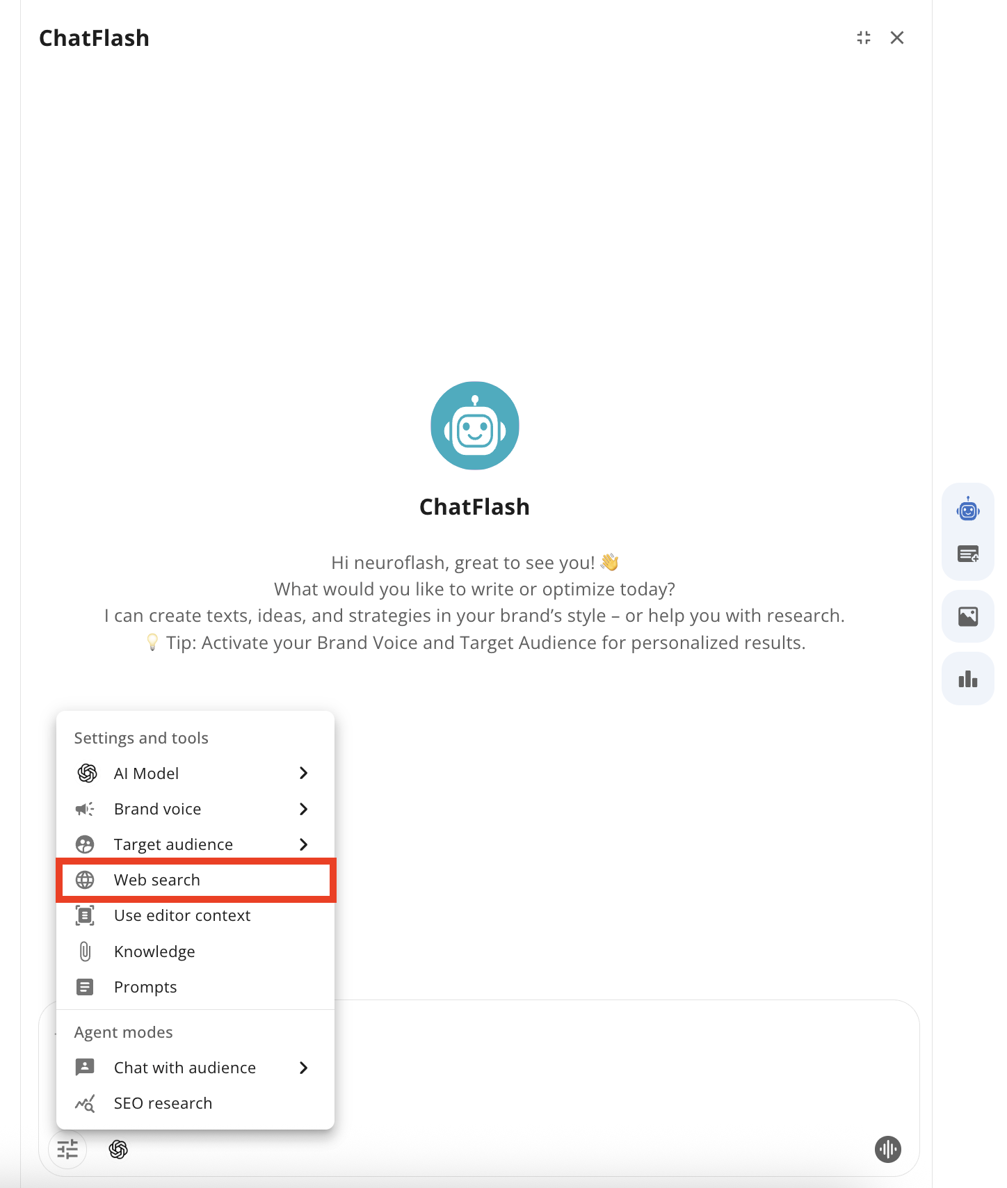 web search